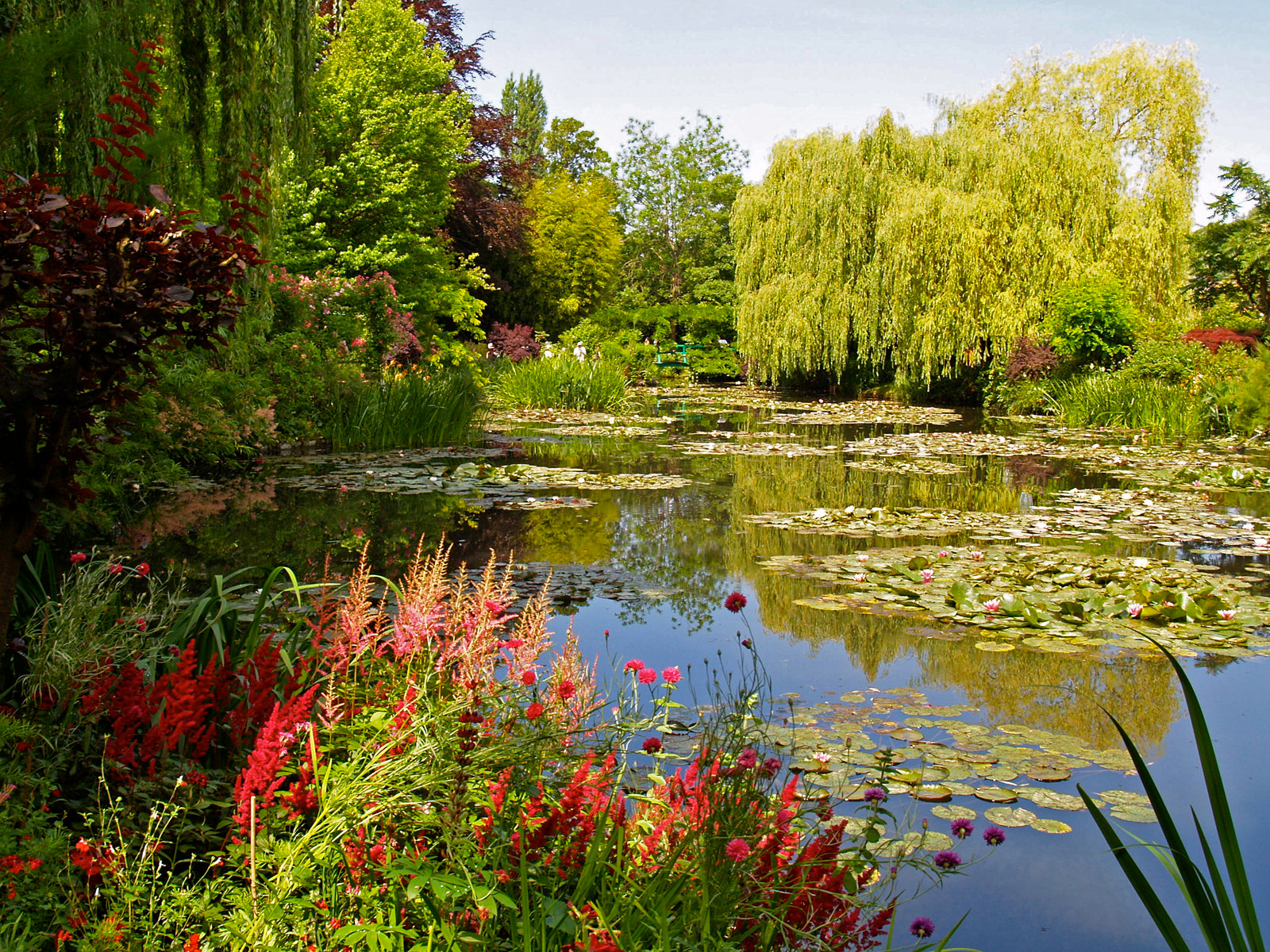 Le Jardin d'Eau en Été