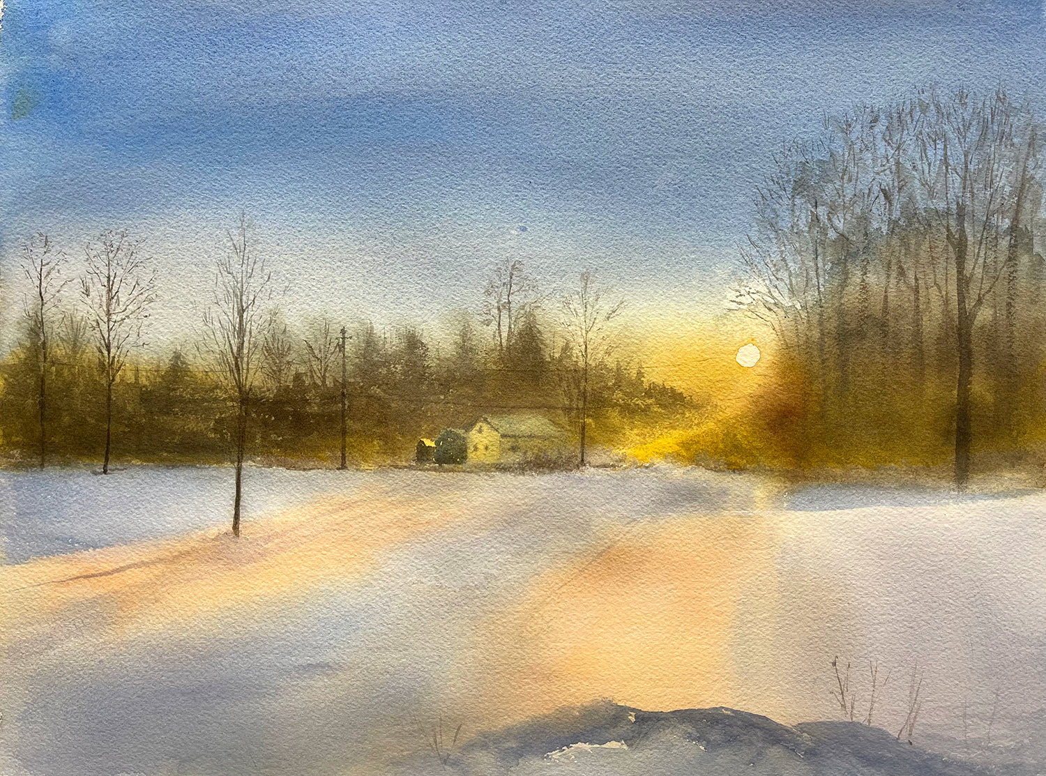 Golden Frost  (Watercolour - Original)