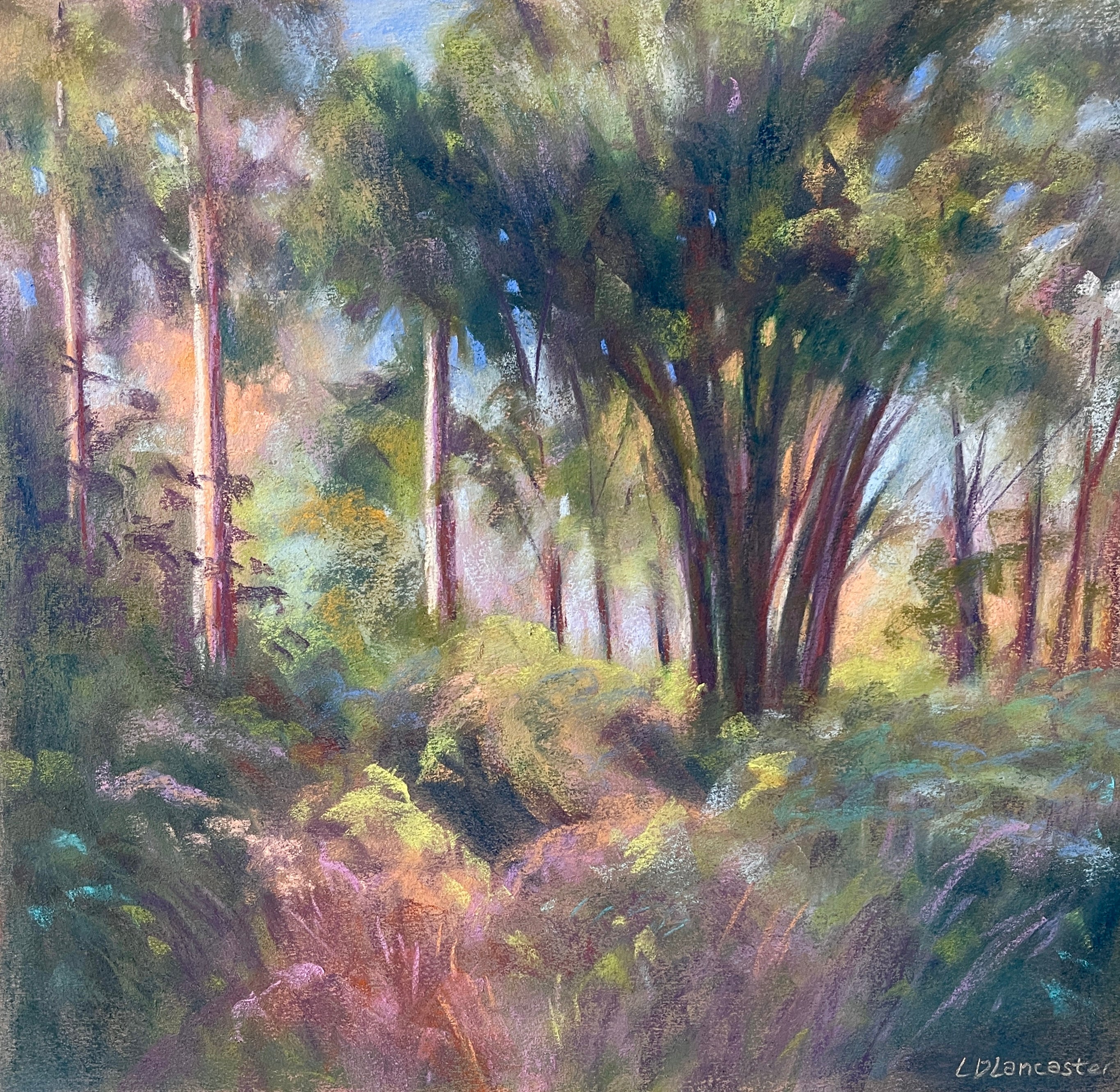Weeley Hall Woods