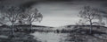 Wetlands