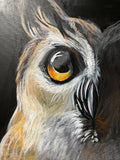 fierce owl