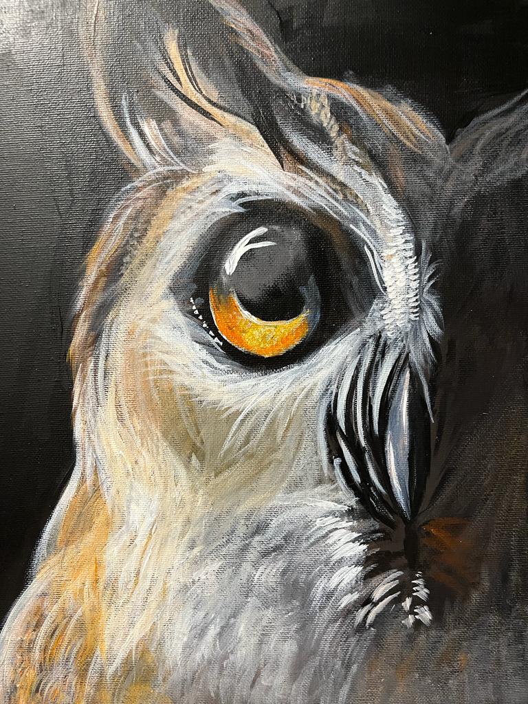fierce owl