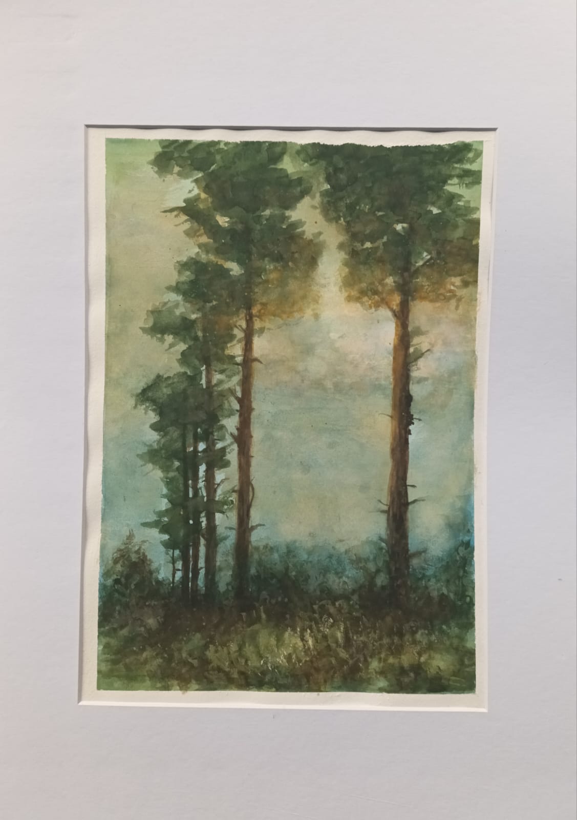 "Morning Veil"
