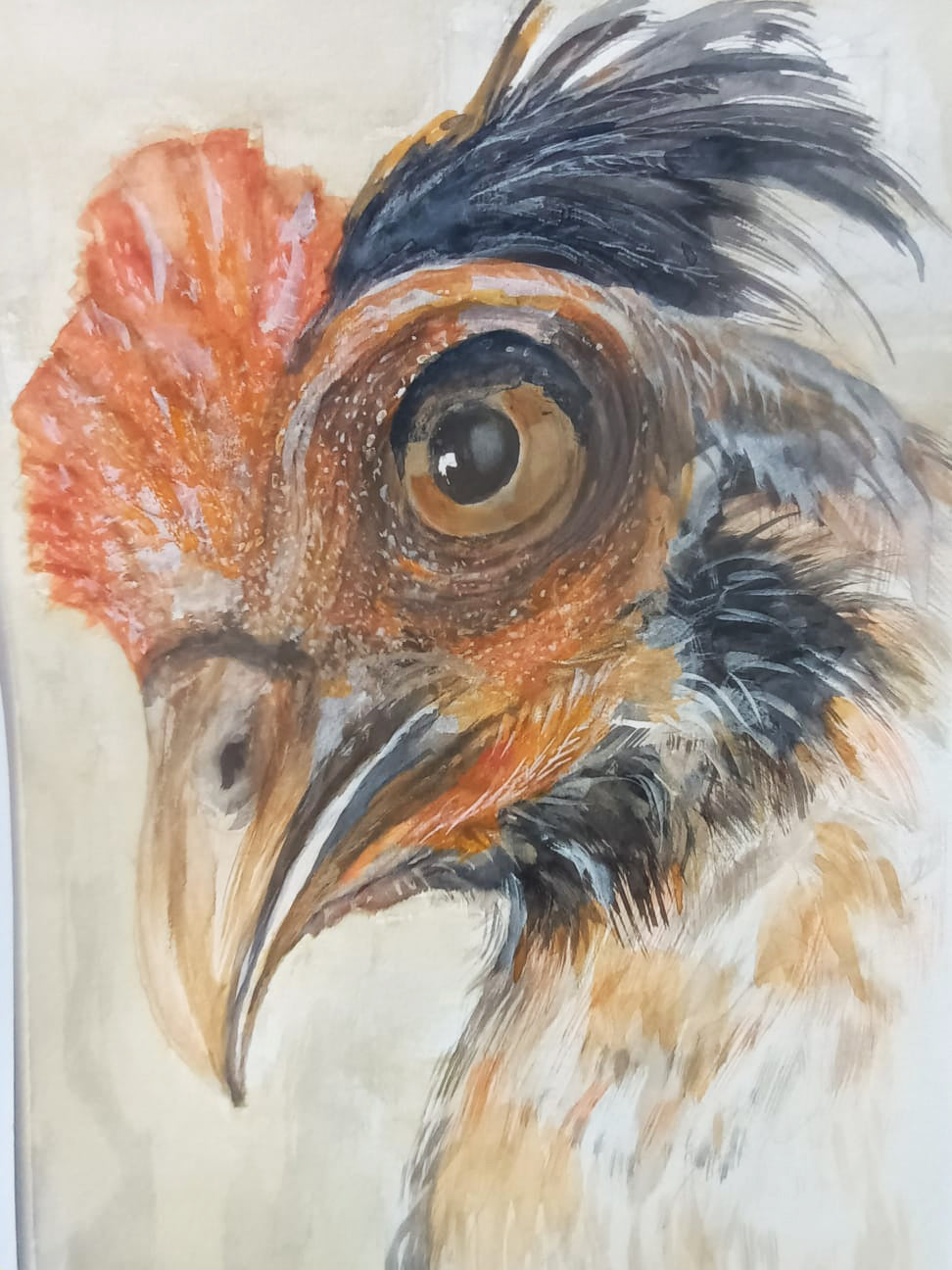 Portrait of a Rooster