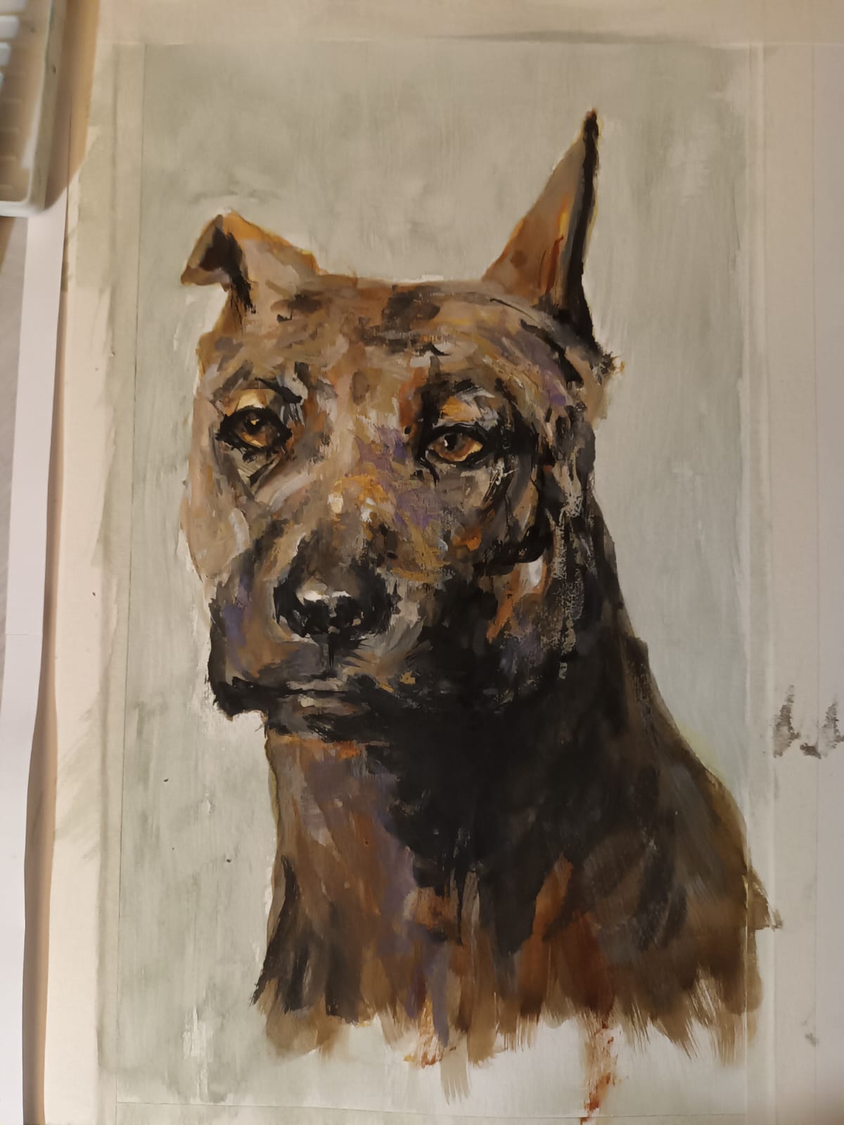 A portrait of a dog