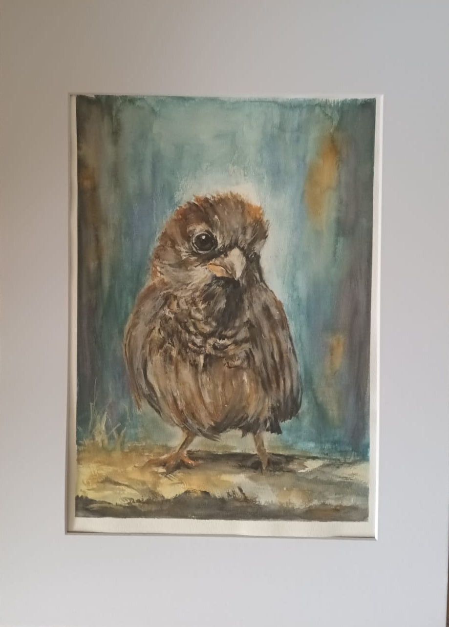 "Sparrow Study"