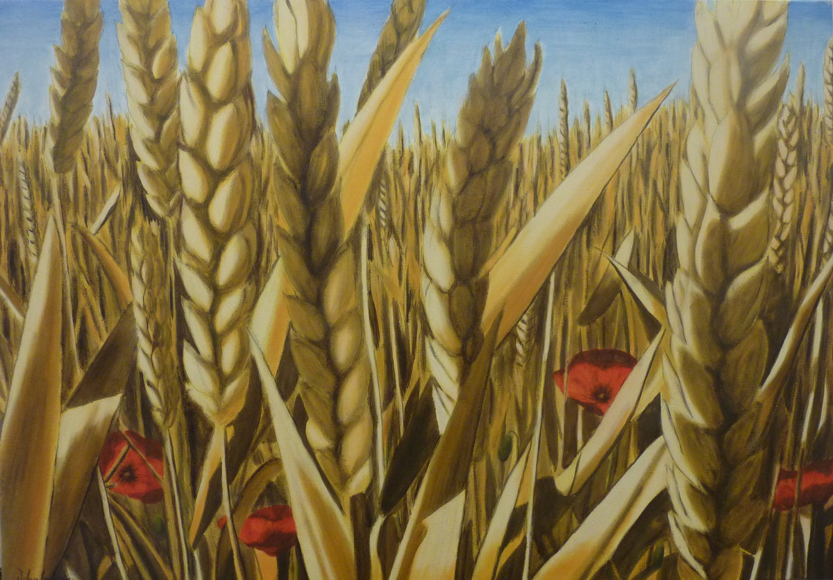 Wheat Field