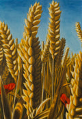 Wheat