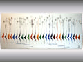 Big Race - abstract sailboats on stretched canvas