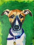 Little Whippet
