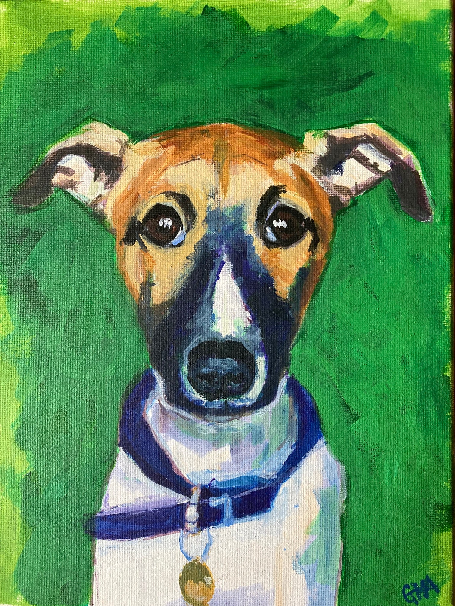 Little Whippet