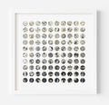 One Hundred Vintage Botanical Dots Collage