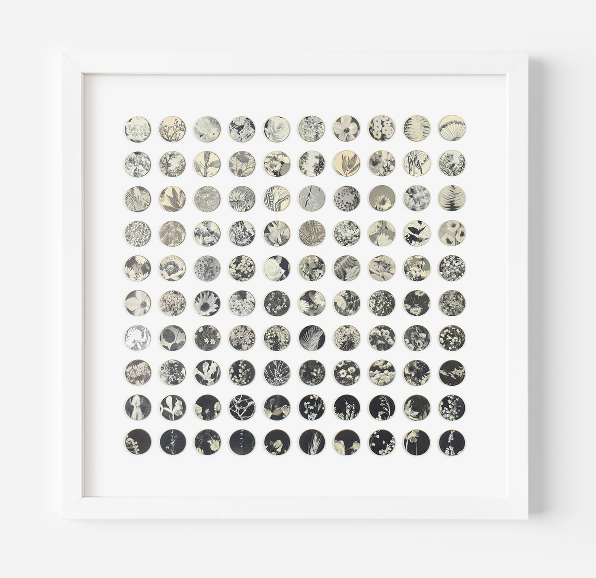 One Hundred Vintage Botanical Dots Collage