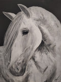 White Horse
