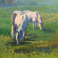 White Horses in Sunset Glow