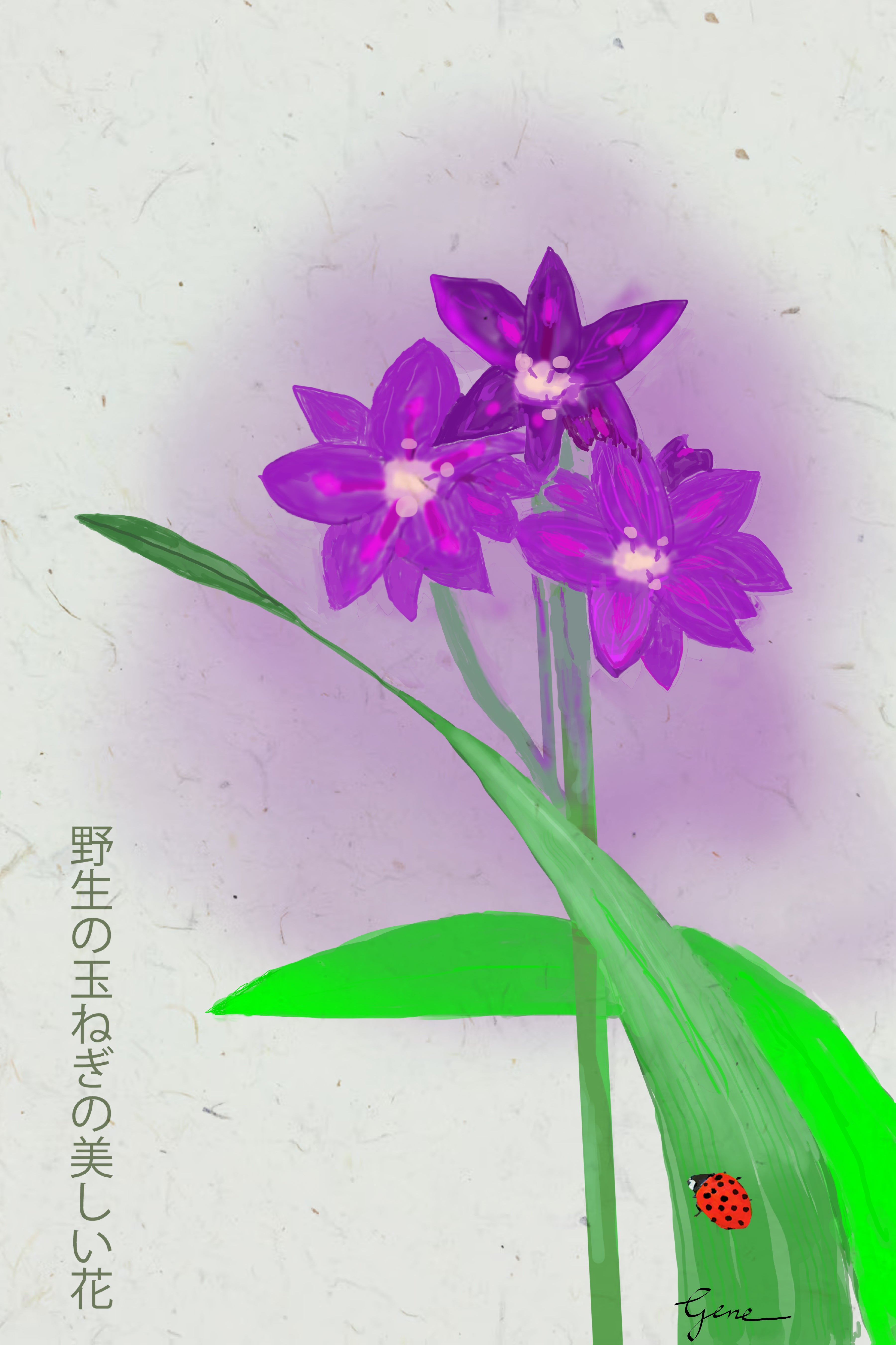 Wild Onion Kanji