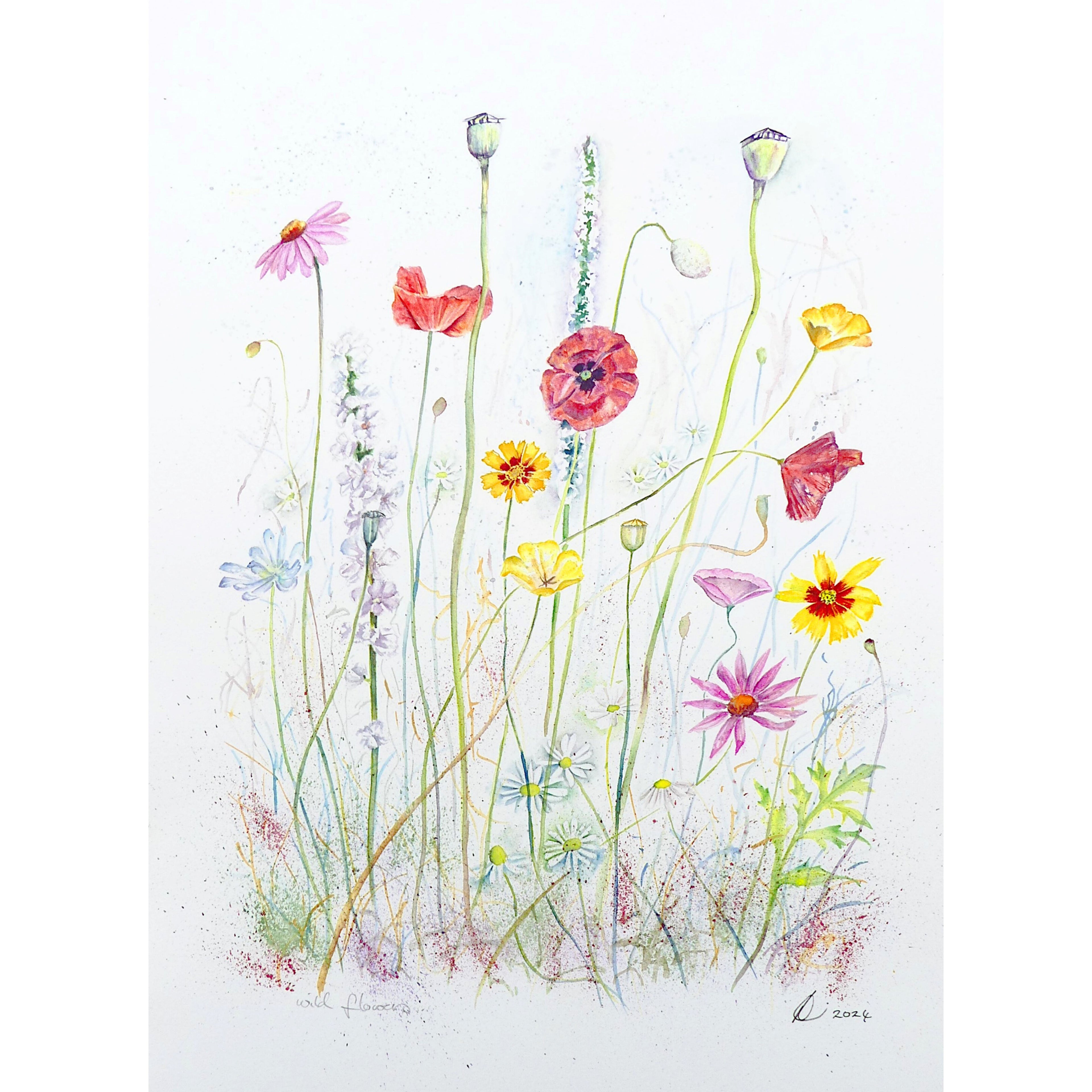 Meadow Wildflowers