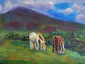 Wild Welsh Horses