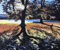 Winter Sun - Sudbury Hall