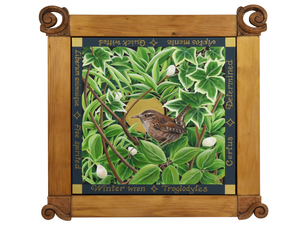Winter Wren