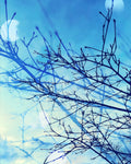 Winter - A3 - Limited Edition Photograph