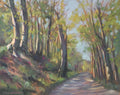 Spring Woodland in Llangollen, Wales