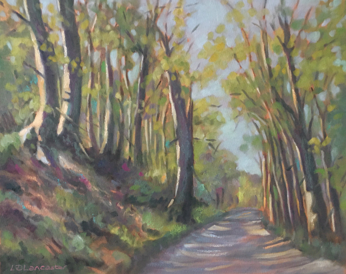 Spring Woodland in Llangollen, Wales