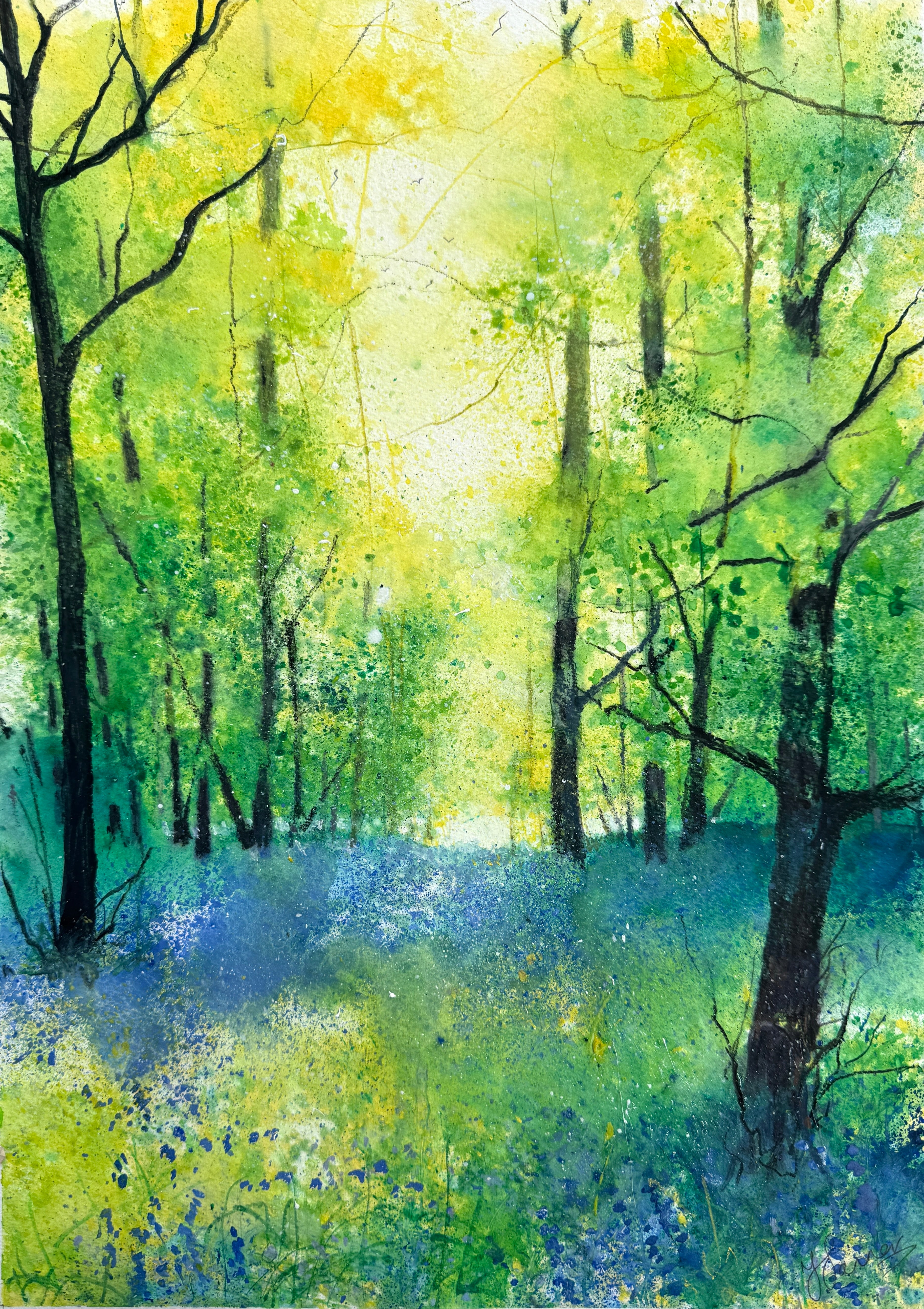 Woodland with Bluebells