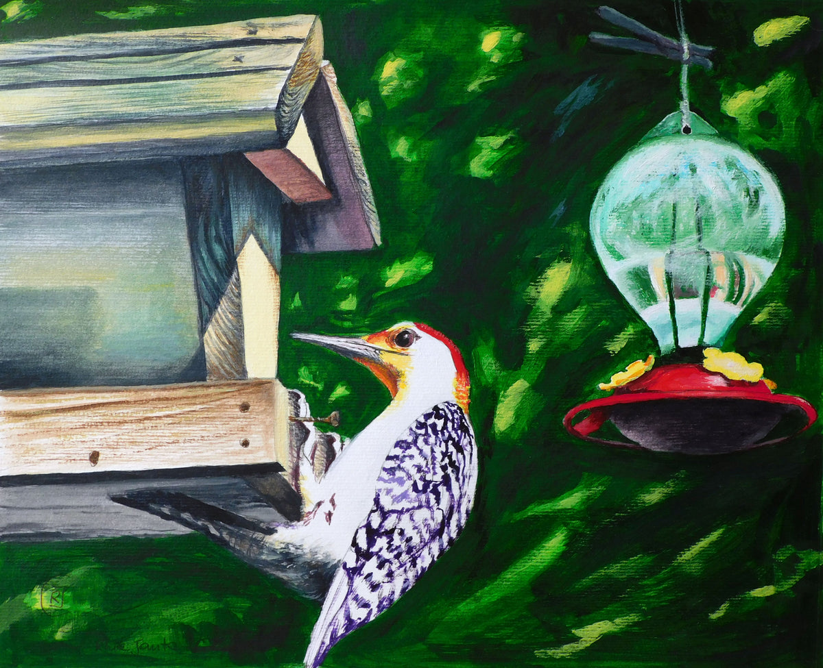 Woodpecker From Kentucky