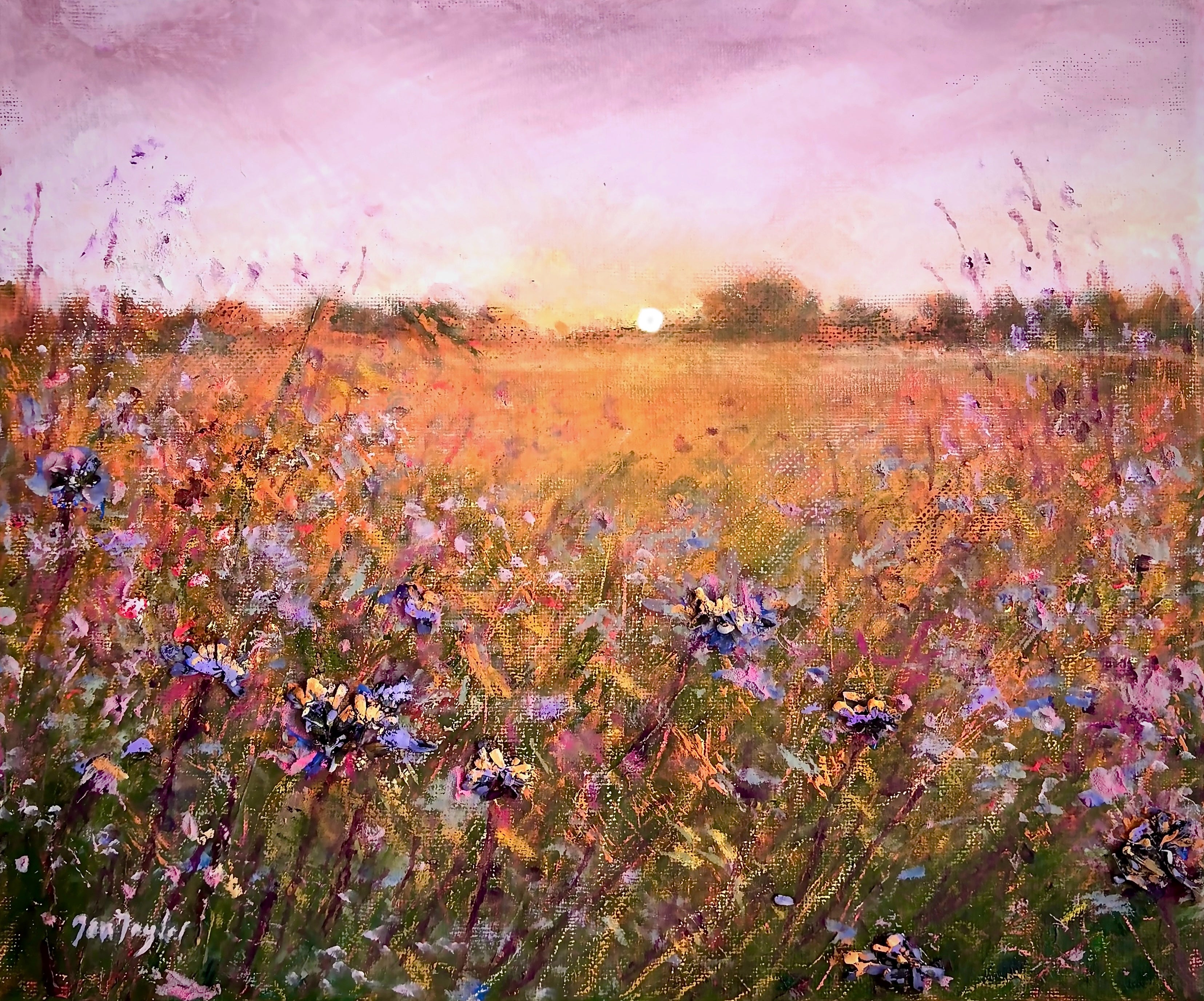 Early Summer's Eve
