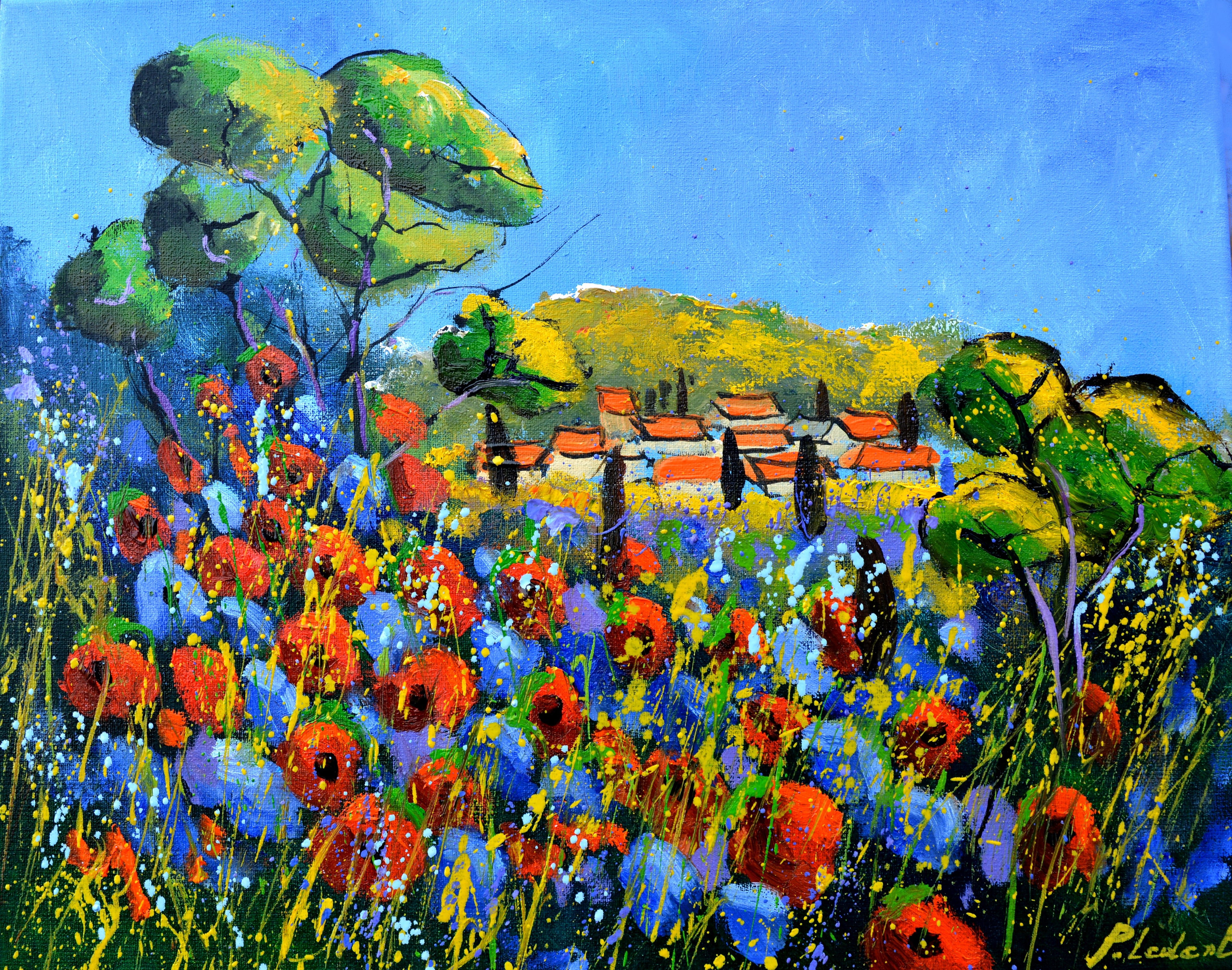 Red poppies in Provence