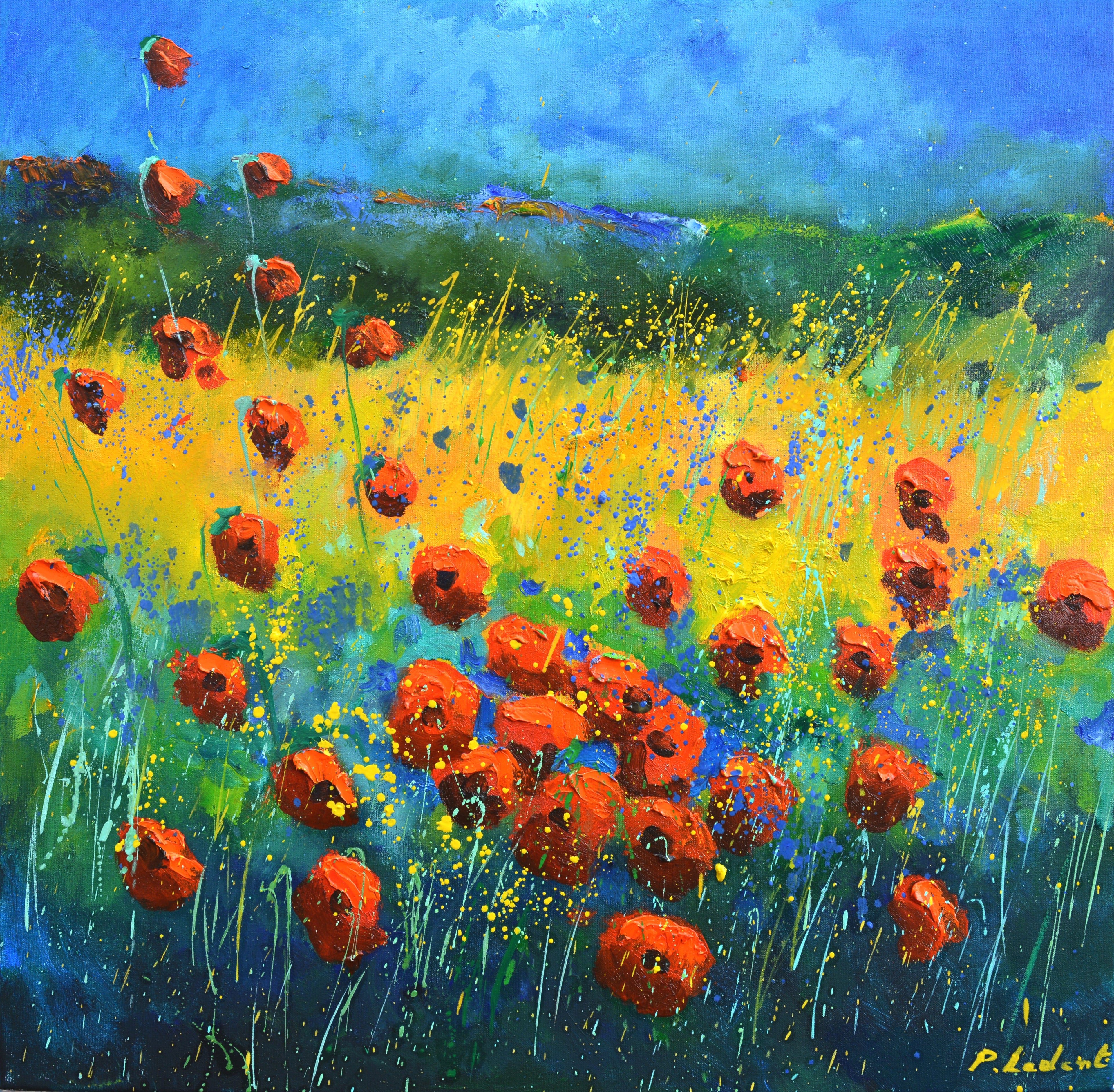 Red poppies
