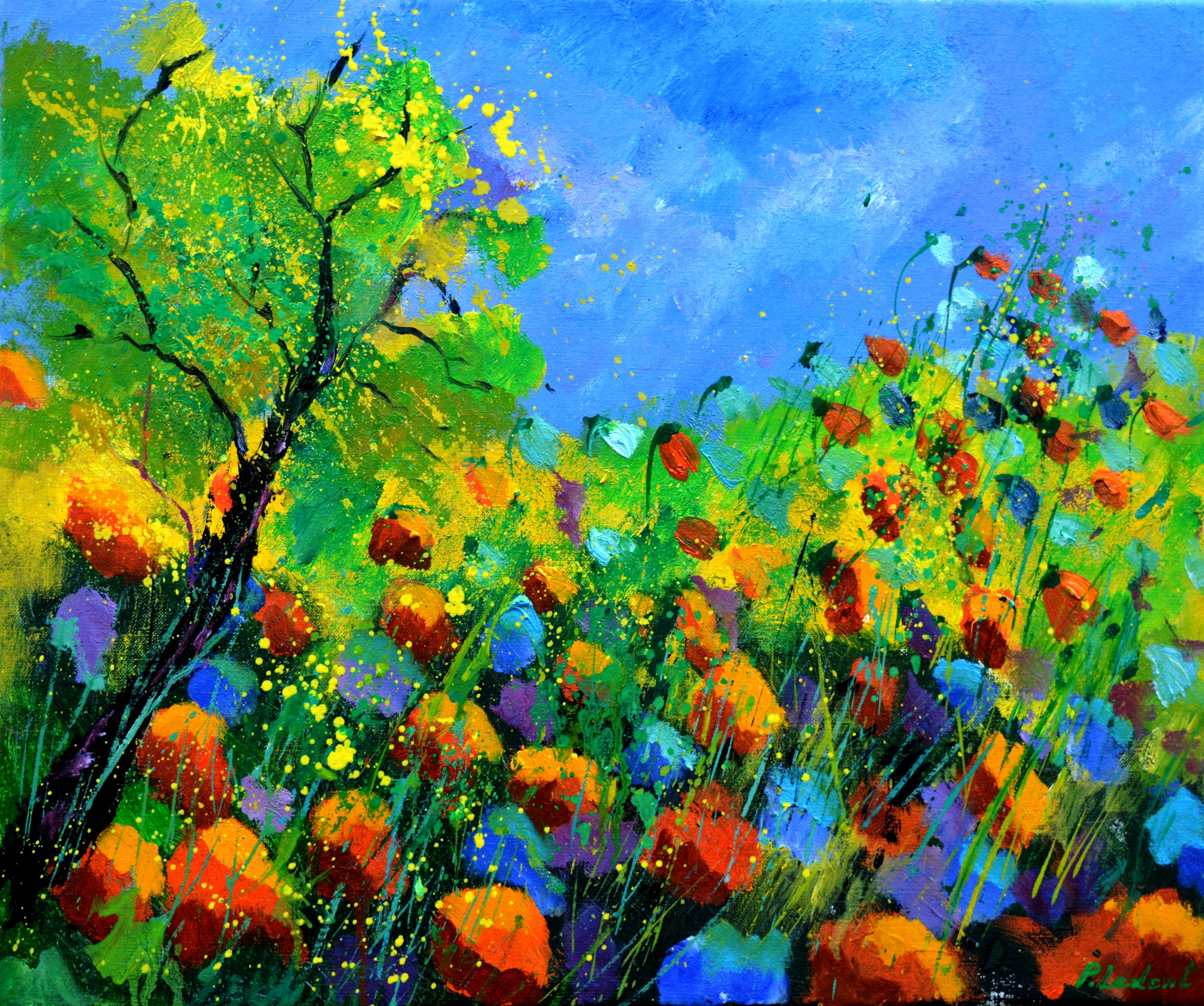 Red poppies in summer