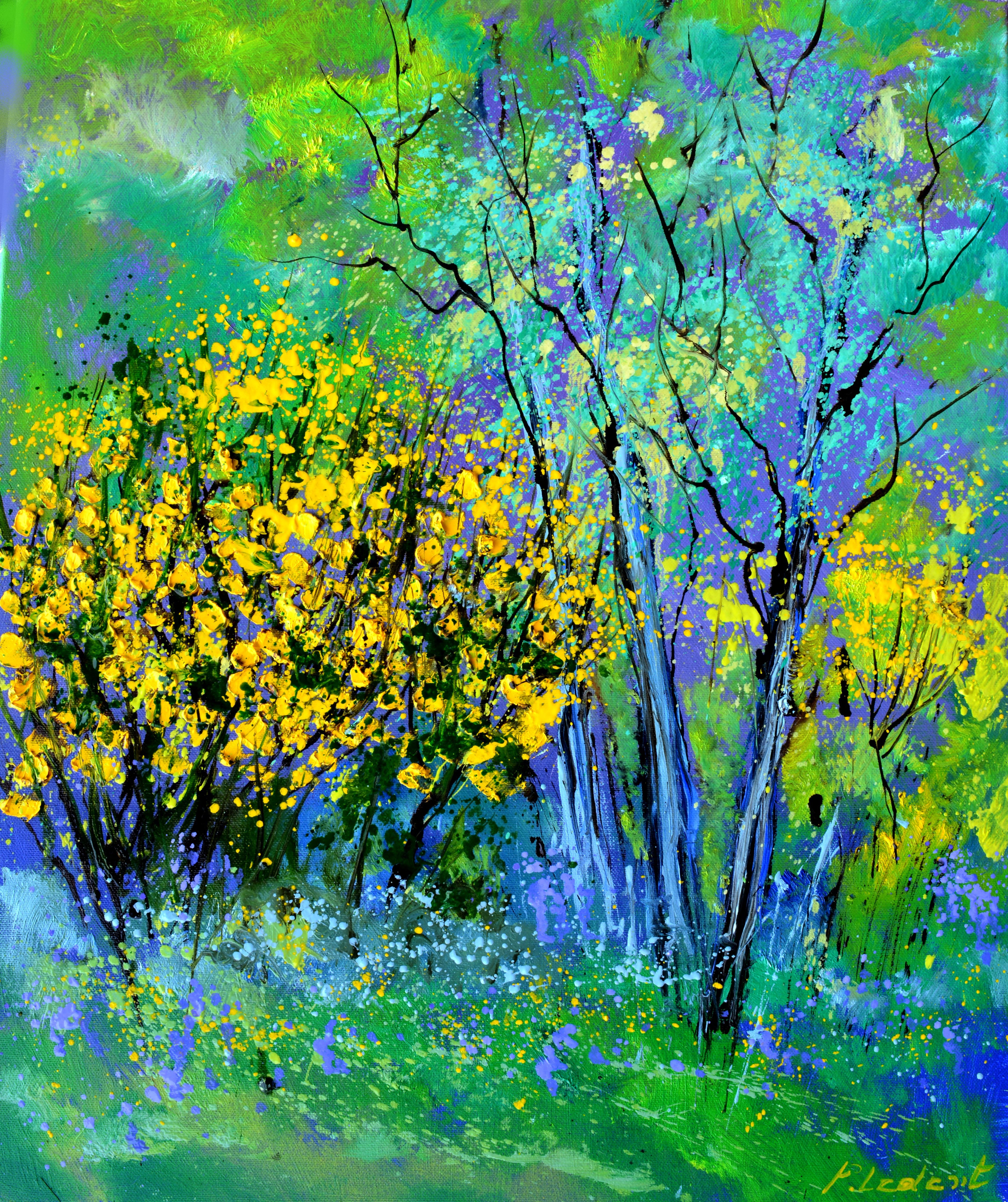 Yellow brooms