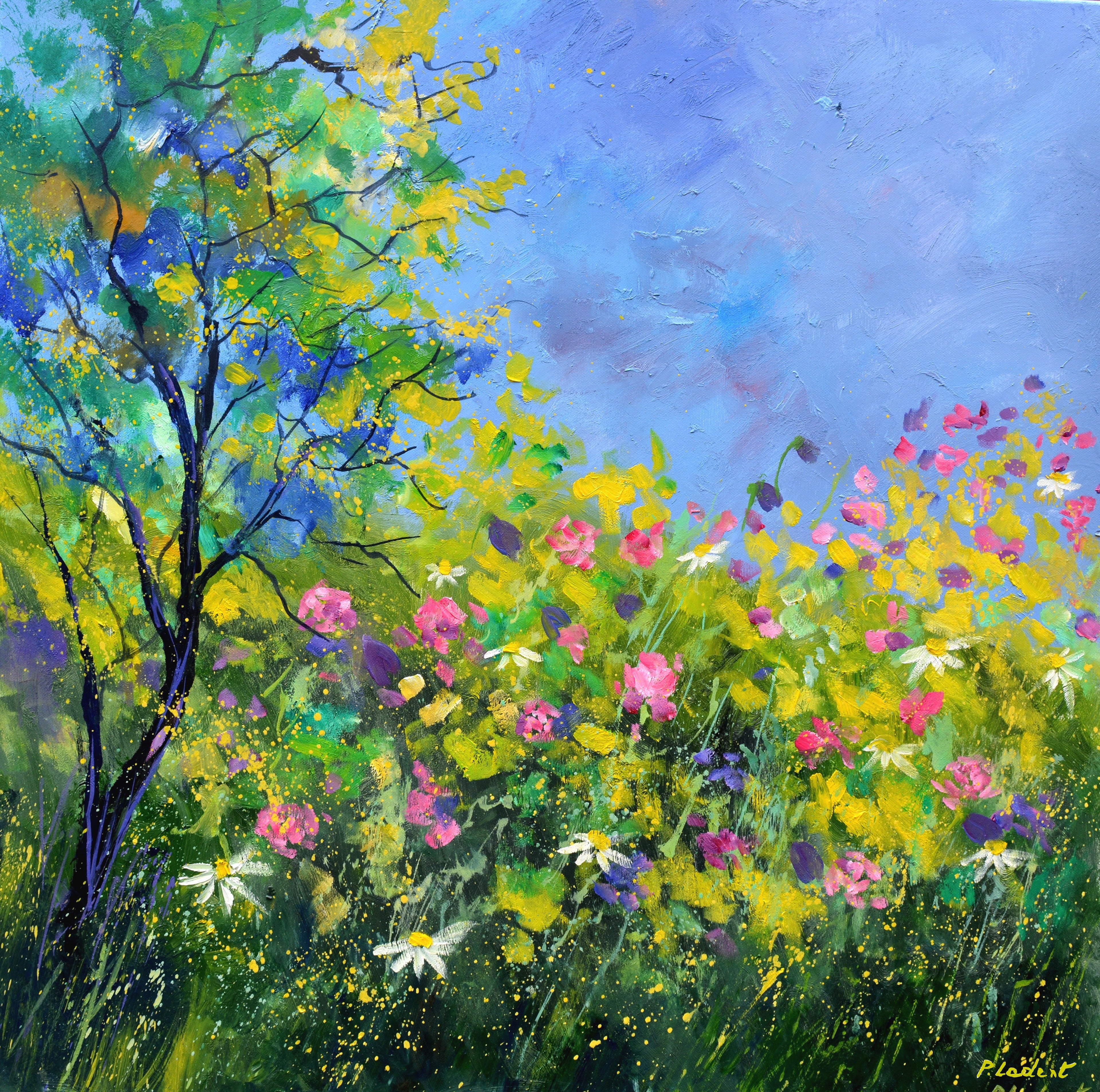 Pink spring