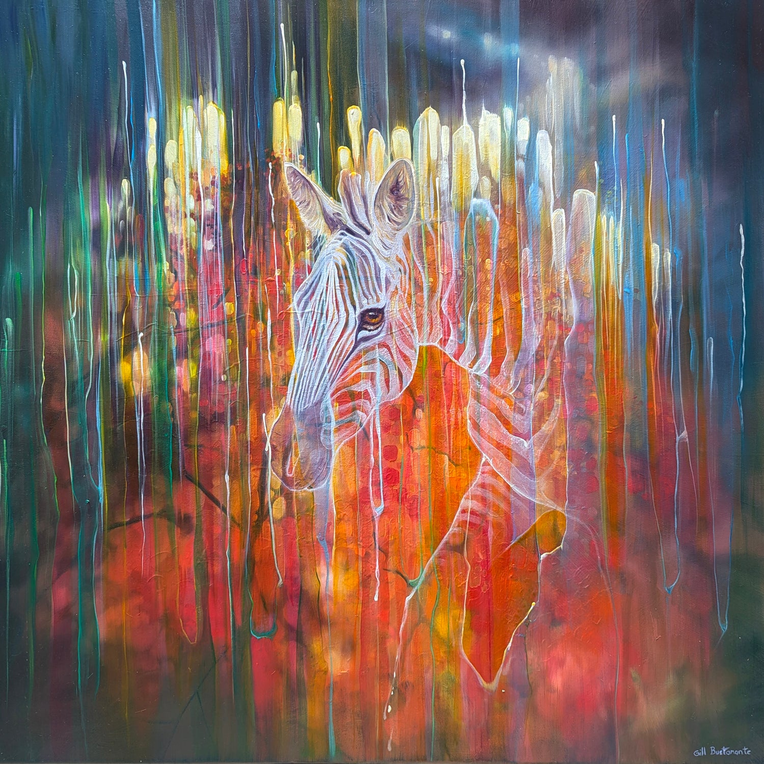 Zebra Queen