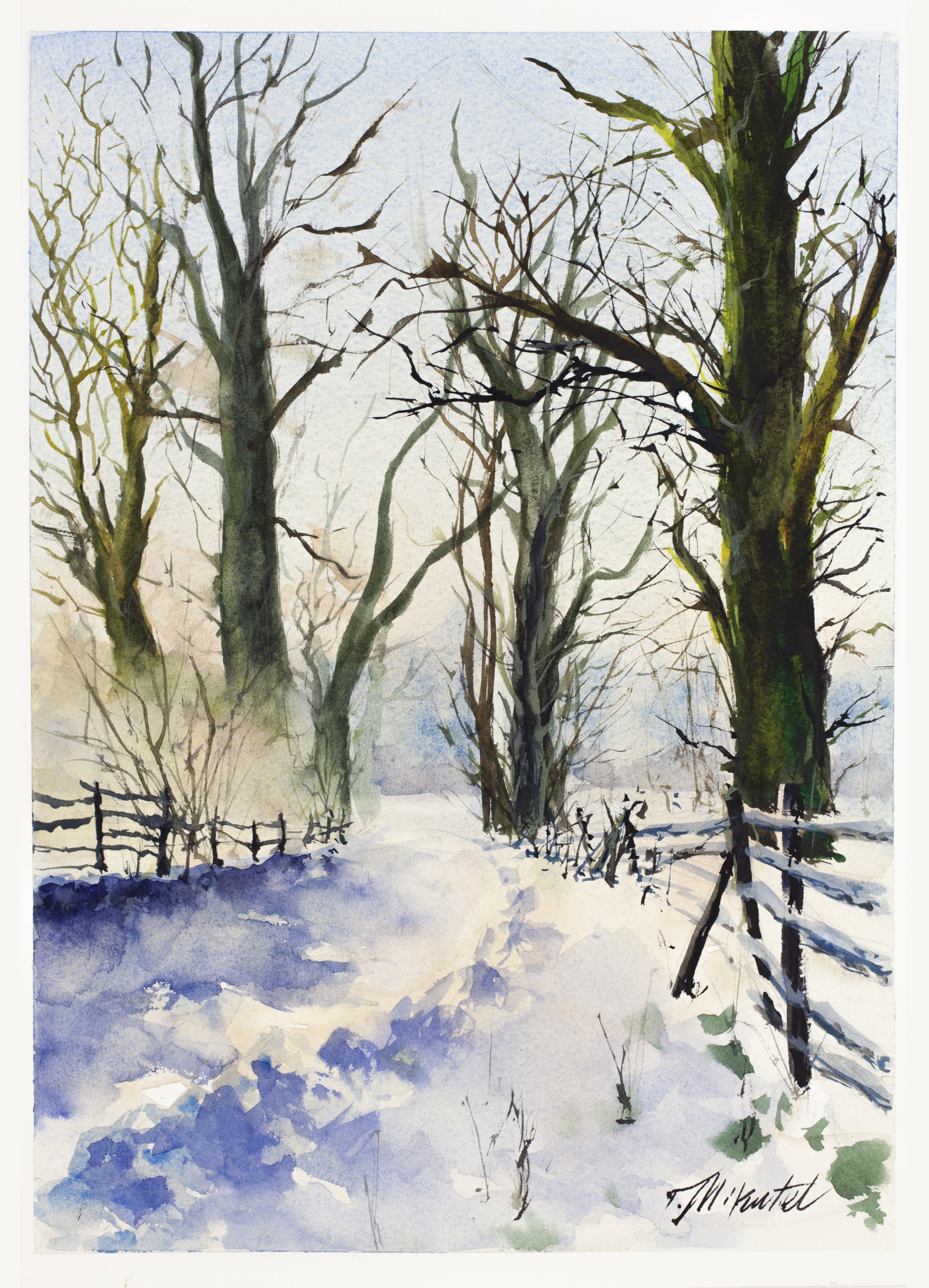 Silent Winter Path