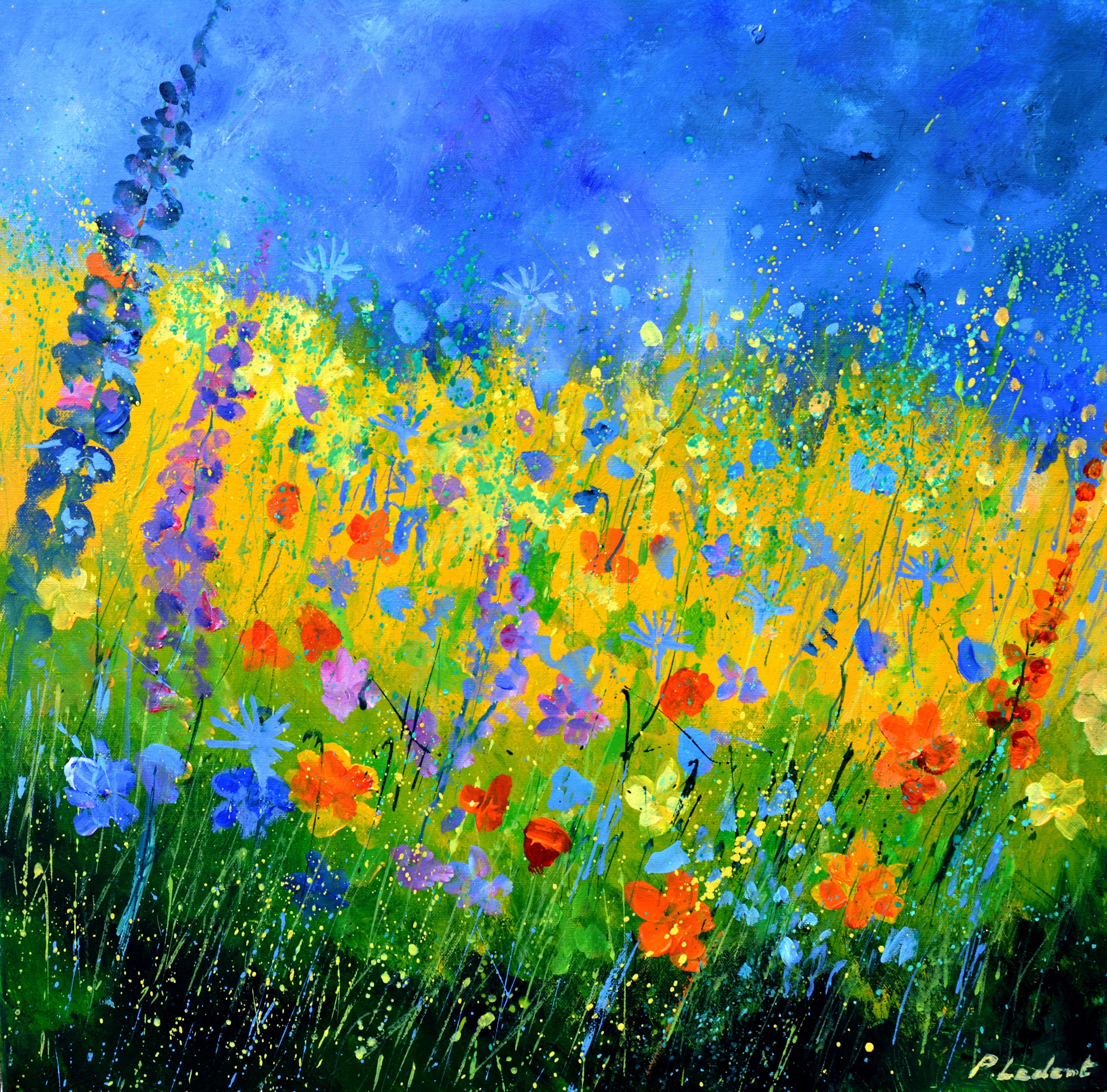 summer meadow