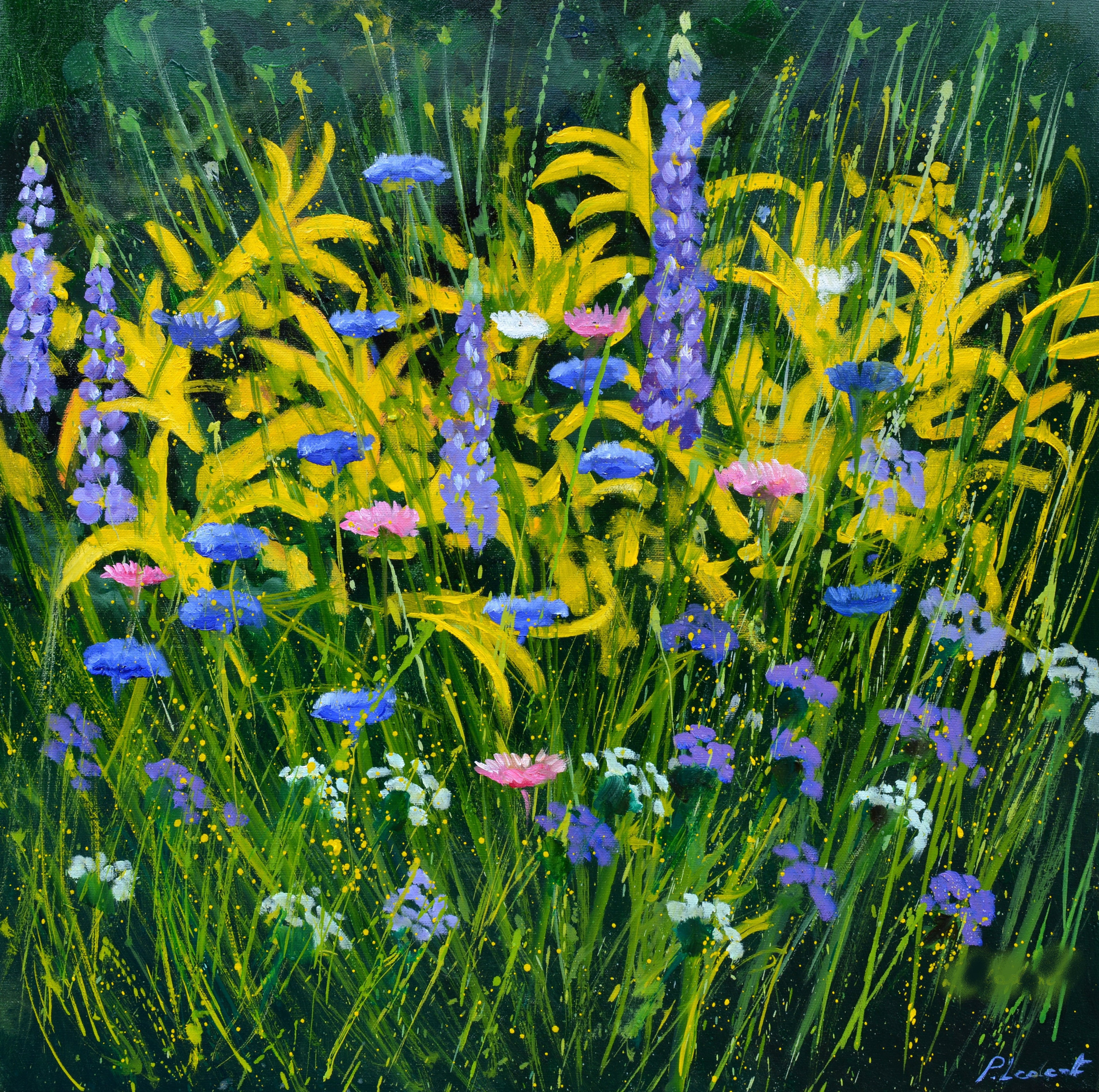 Garden Flowers