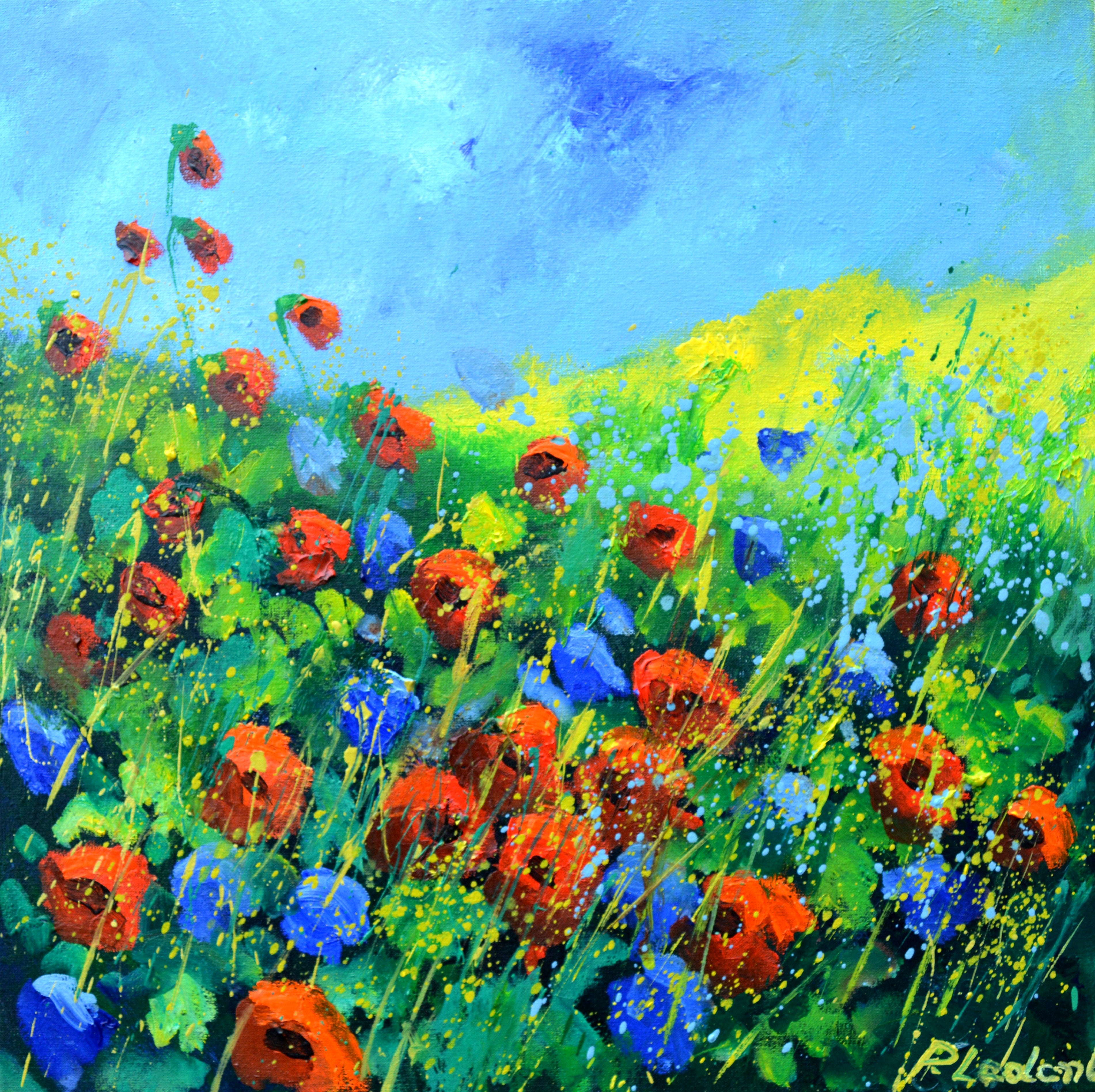 Red poppies 44