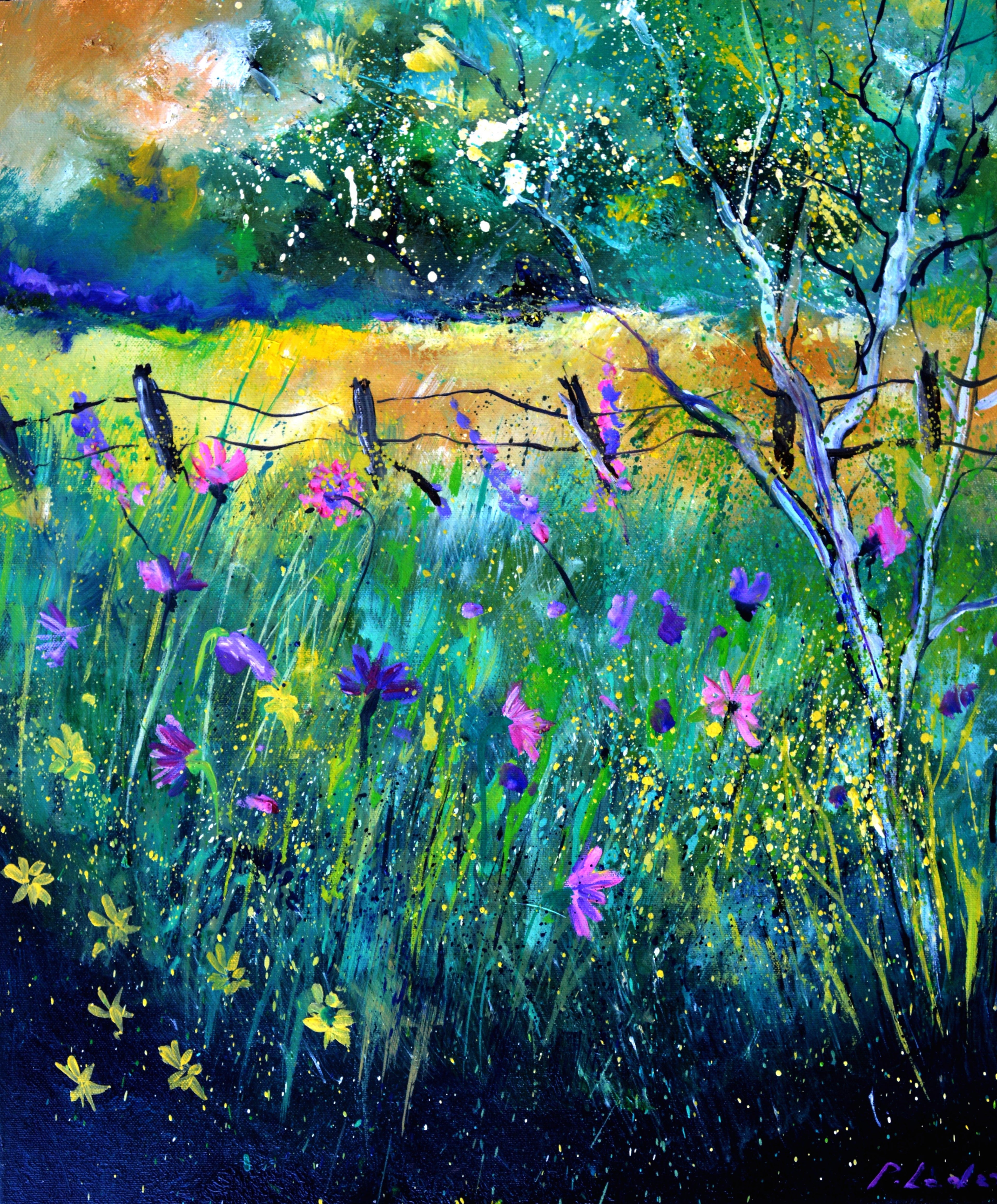 Wild summer flowers