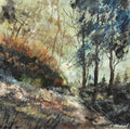 Winter light in the wood