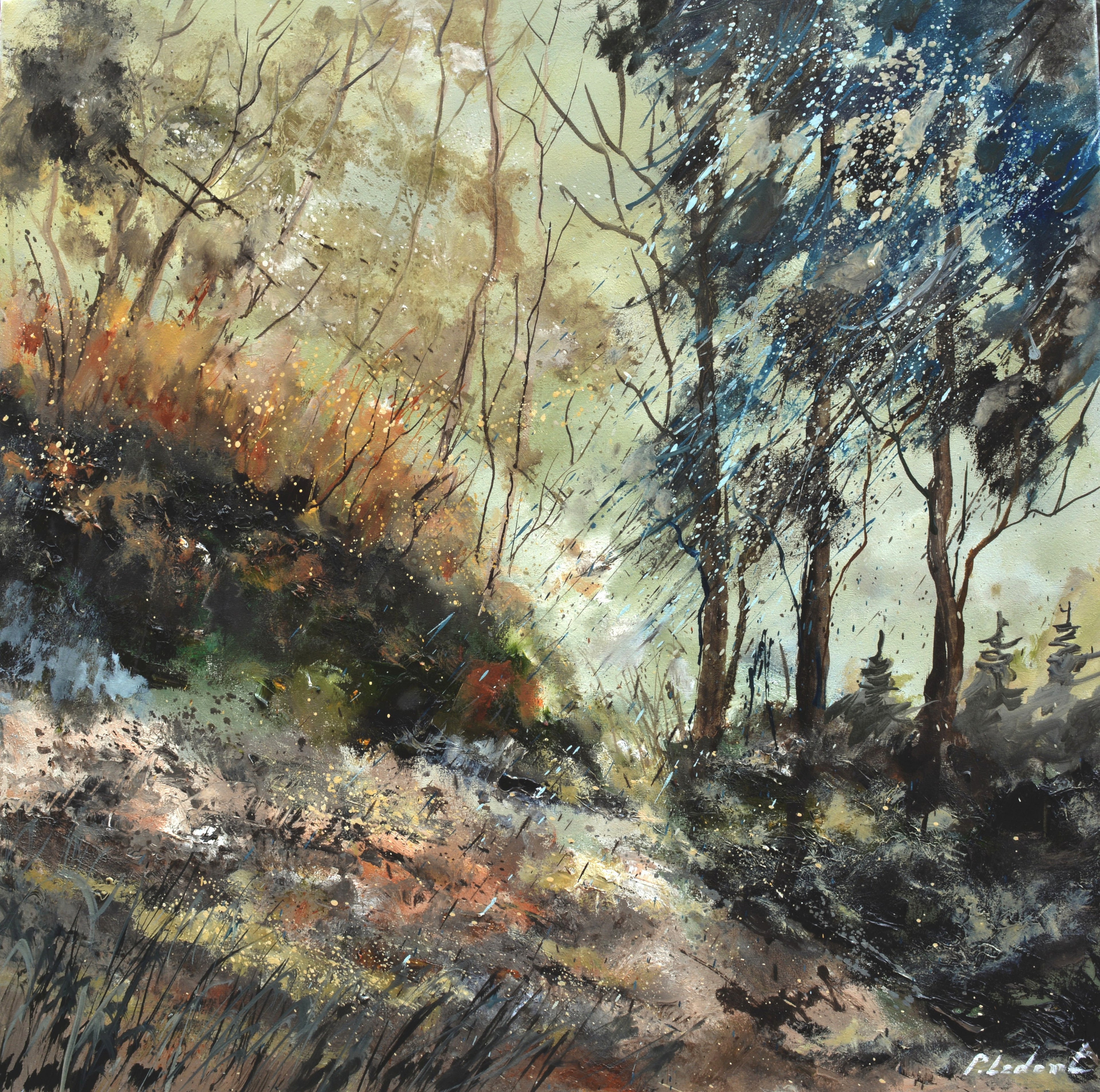 Winter light in the wood