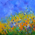 Wild flowers meadow