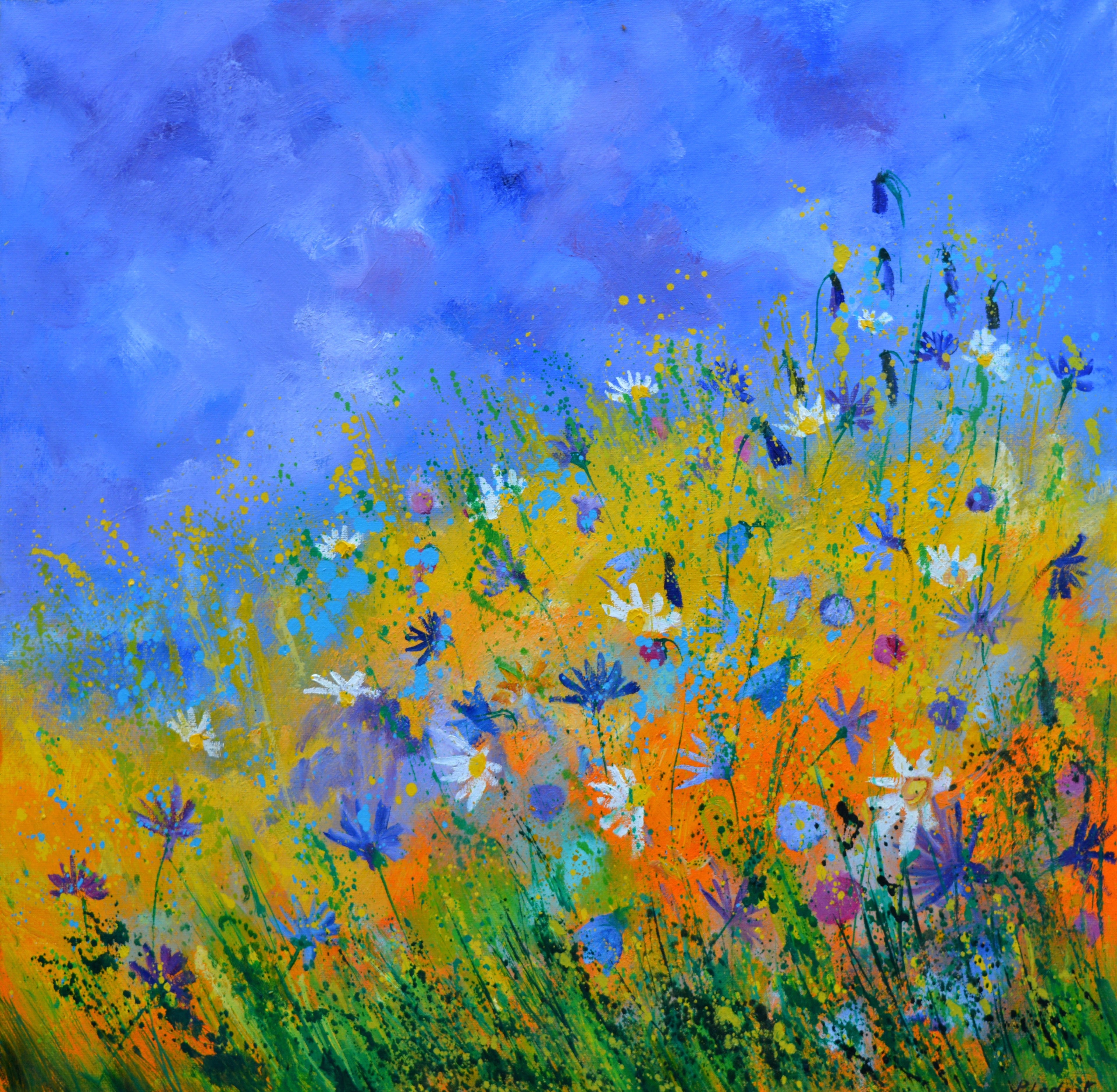 Wild flowers meadow