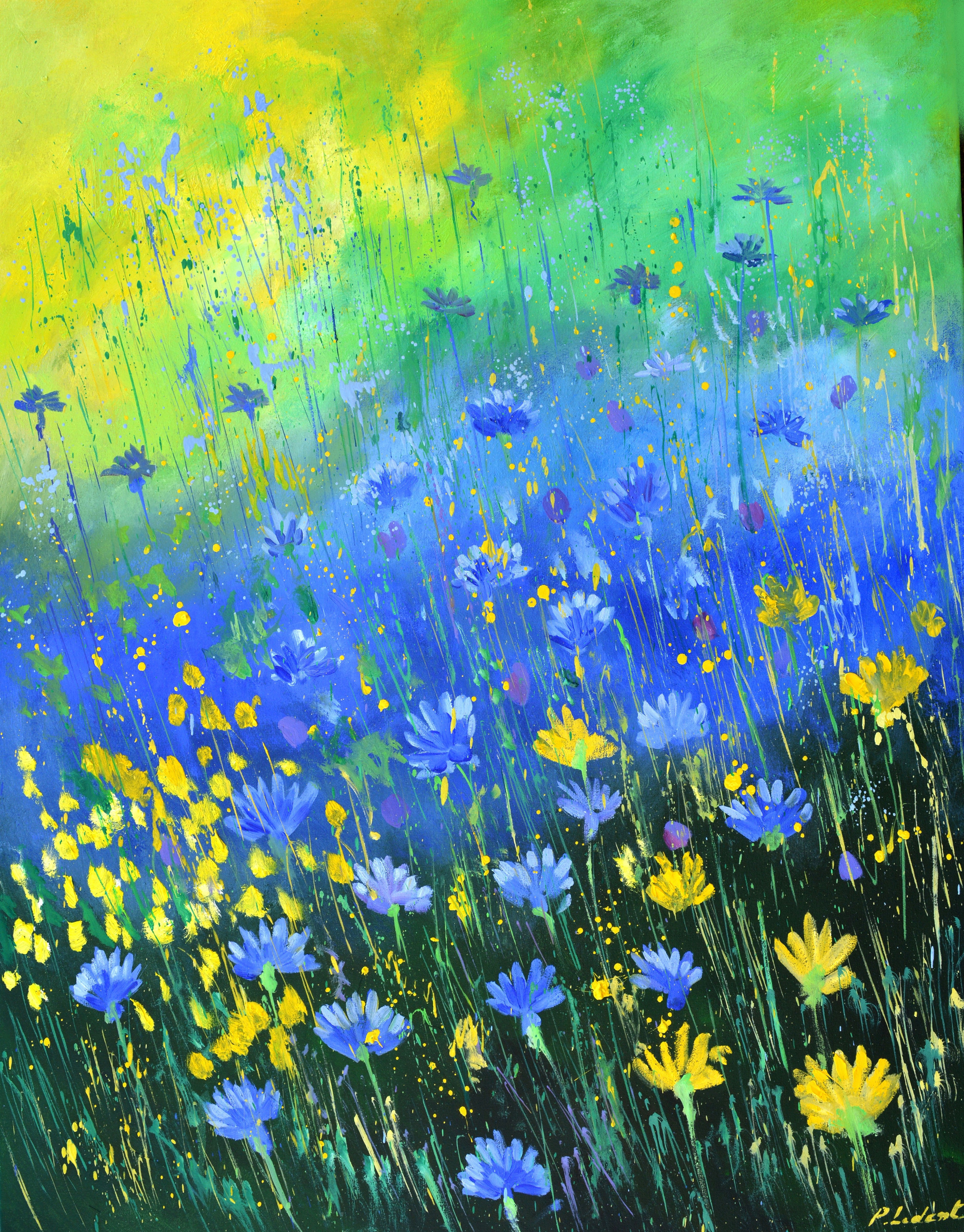 Blue cornflowers 79