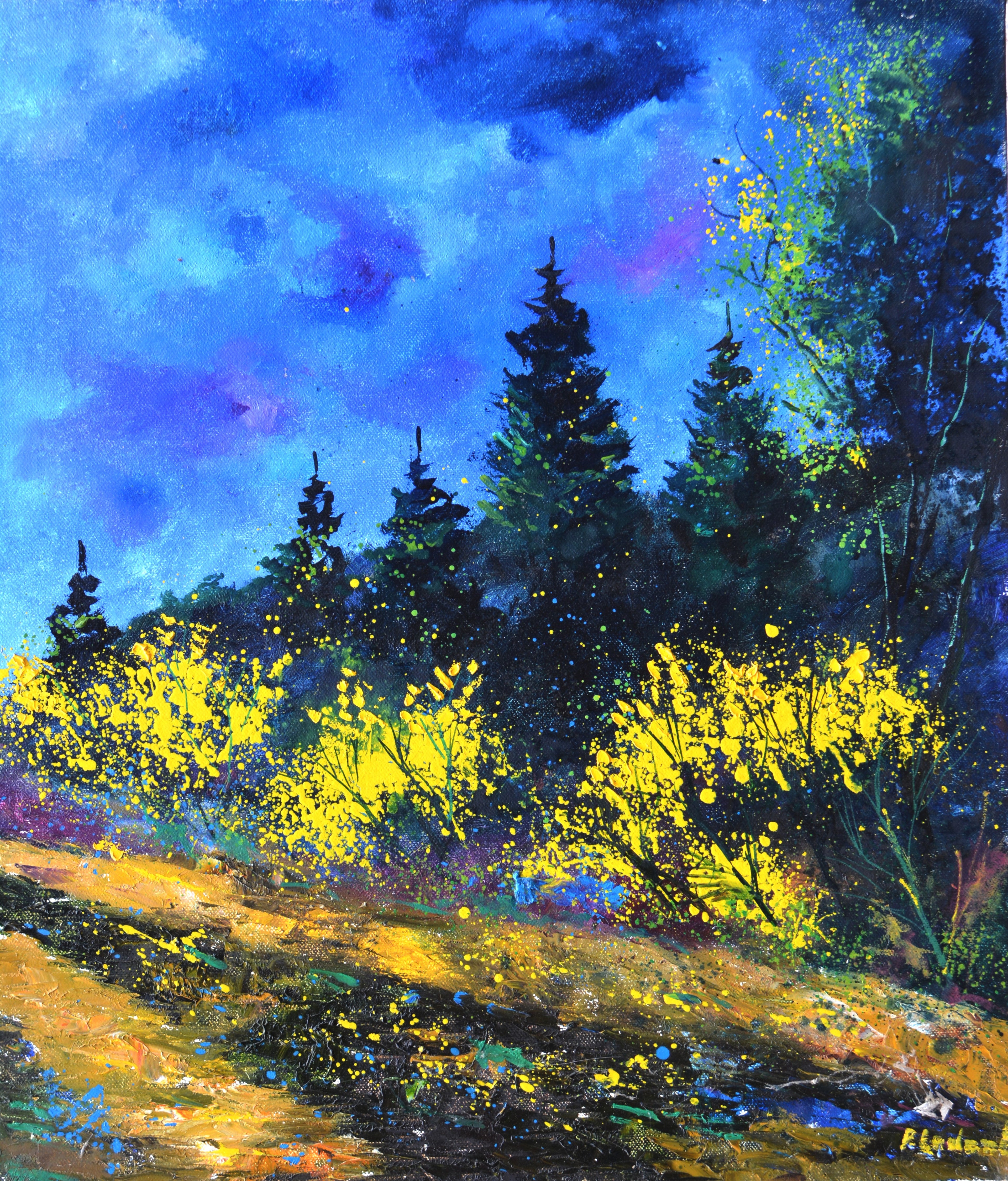 Yellow brooms