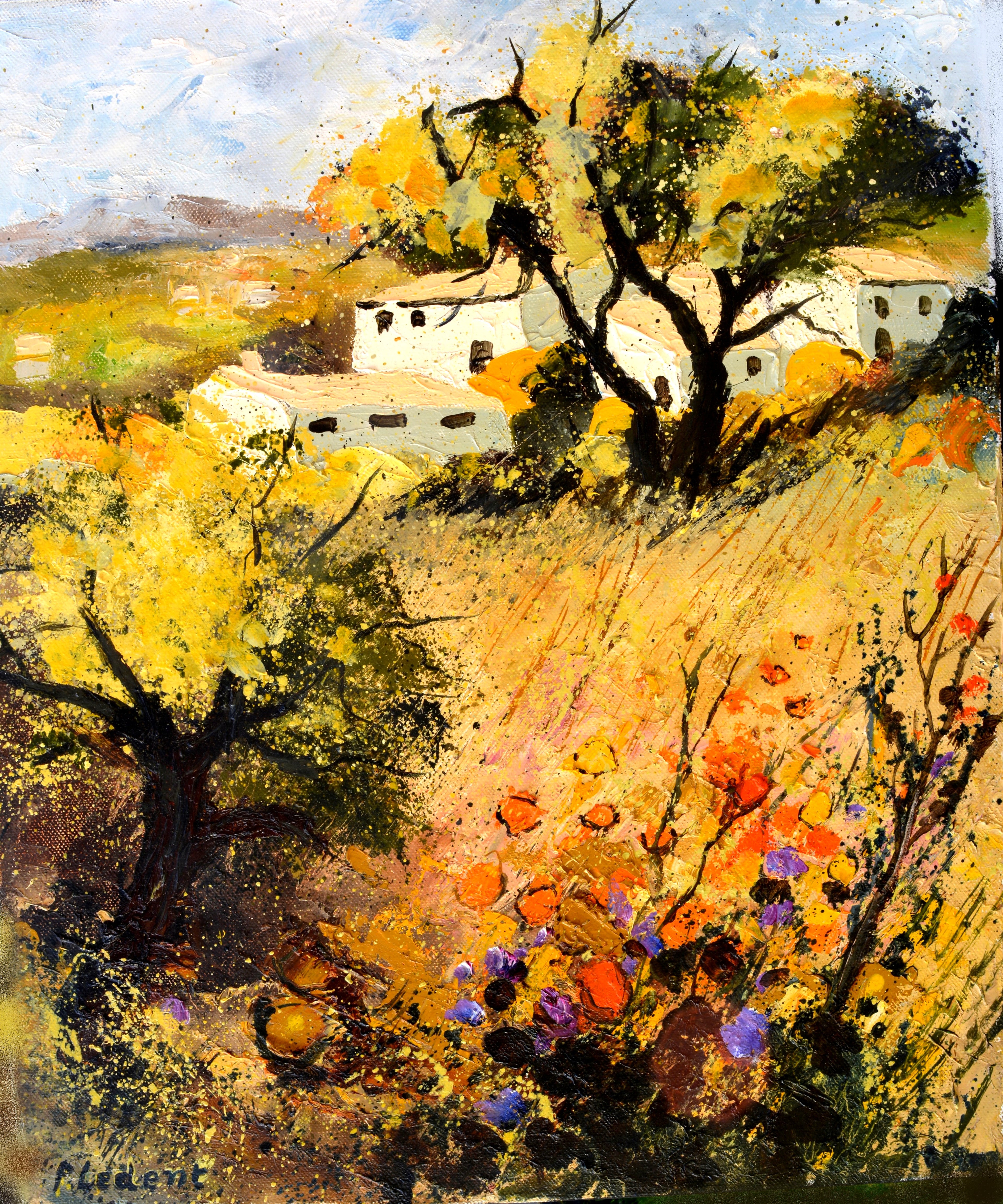 Summer in Provence