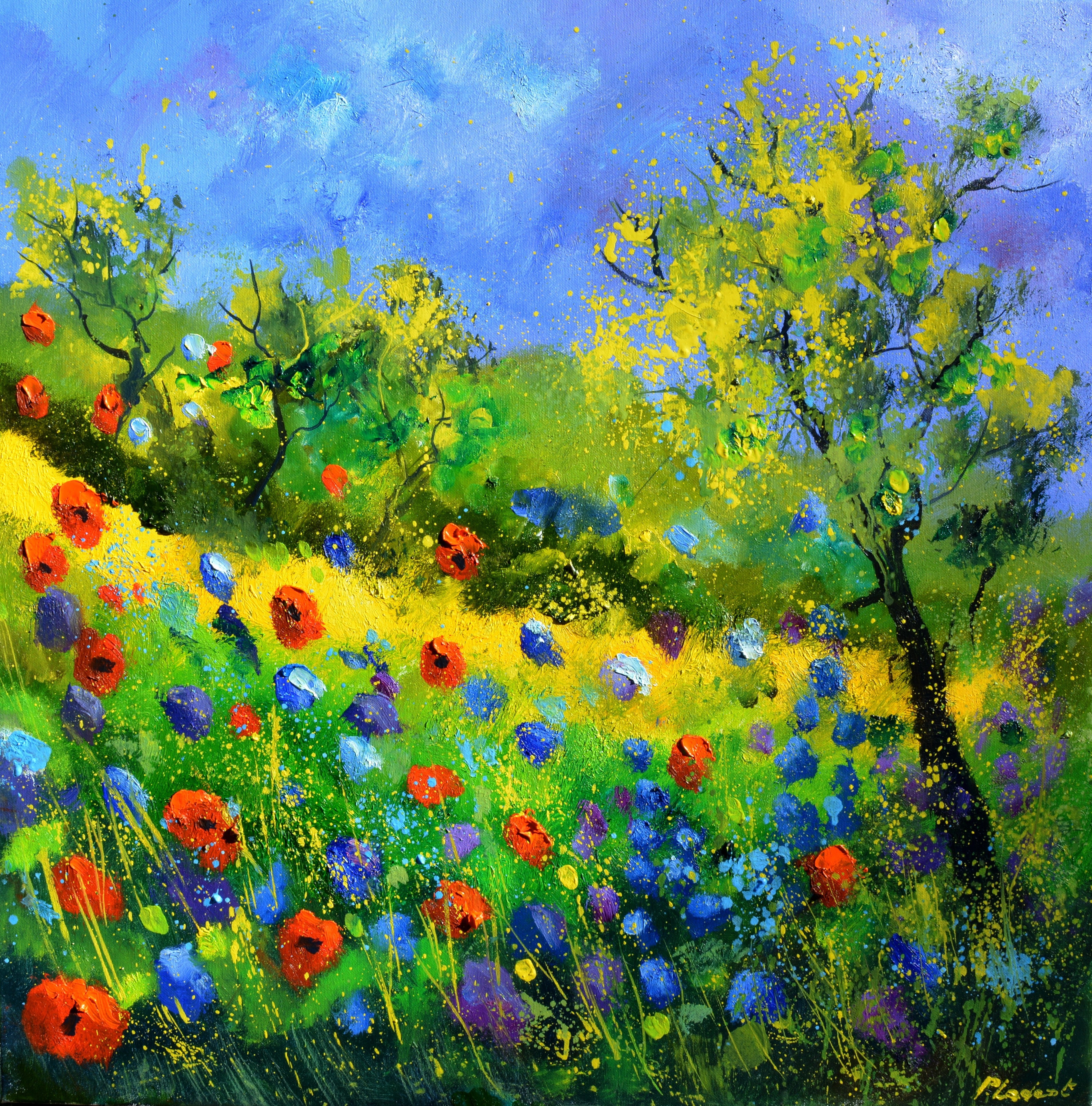 Red Poppies
