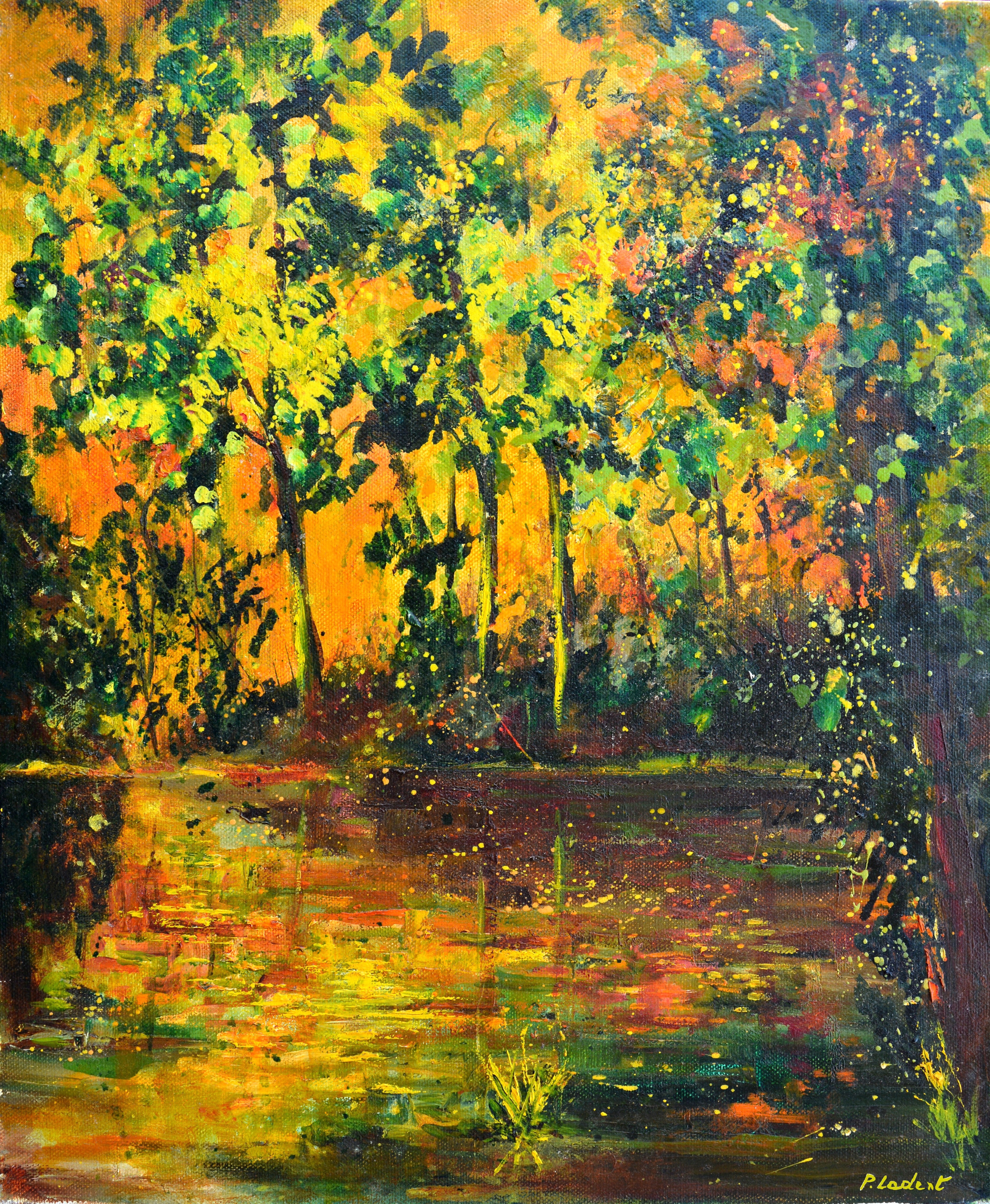 Light on a pond